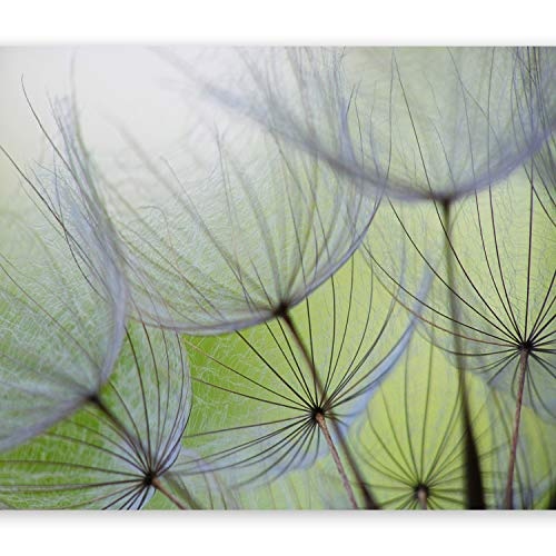 murando - Fototapete Natur 400x280 cm - Vlies Tapete - Moderne Wanddeko - Design Tapete - Wandtapete - Wand Dekoration - Blumen 10110906-71