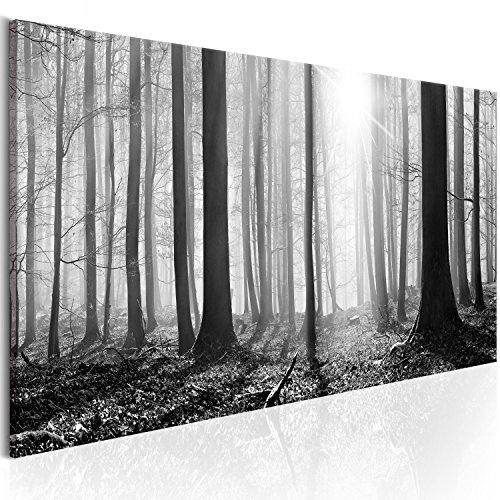 murando Bilder nachtleuchtend 135x45 cm Tag & Nacht Wandbilder 3D nachtleuchtende Farben Kunstdruck Vlies Leinwand XXL Fertig Aufgespannt Waldlandschaft Natur Wald Baum schwarz-weiß c-B-0235-ag-a