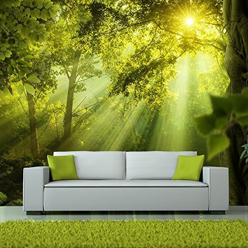 murando - Fototapete Wald 400x280 cm - Vlies Tapete - Moderne Wanddeko - Design Tapete - Wandtapete - Wand Dekoration - Natur Landschaft grün c-A-0077-a-a