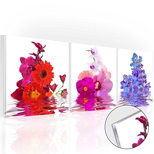 murando - Acrylglasbild Blumen 120x40 cm - Bilder Wandbild - modern - Decoration Wasser 030208-7
