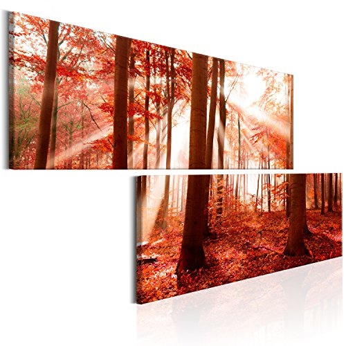 murando - Bilder Wald 160x80 cm Vlies Leinwandbild 2...