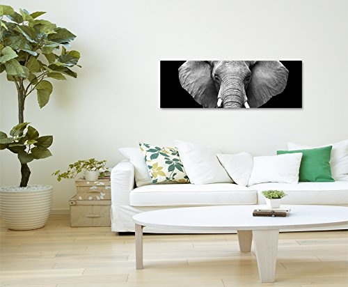 Wunderschönes Wandbild 150x50cm Tierbilder - Großer Elefanten von vorne schwarz weiß