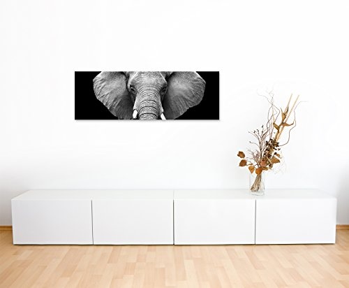 Wunderschönes Wandbild 150x50cm Tierbilder - Großer Elefanten von vorne schwarz weiß