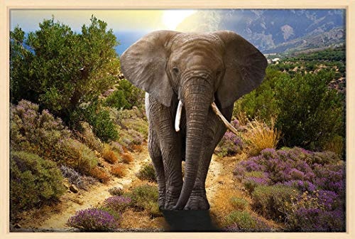 Canvas Leinwandbild Wandbild Kunstdruck, Ein Elefant in Afrika - Querformat 80x120 cm auf Keilrahmen gespannt und mit Massivholz-Schattenfugenrahmen 6 Farben-Auswahl, hier Natur klar lackiert