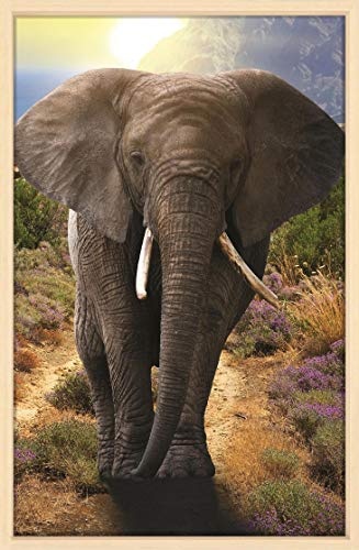 Canvas Leinwandbild Wandbild Kunstdruck, Elefant in Afrika Hochformat 80x120 cm auf Keilrahmen gespannt und mit Massivholz-Schattenfugenrahmen 6 Farben zur Auswahl, hier Natur klar lackiert
