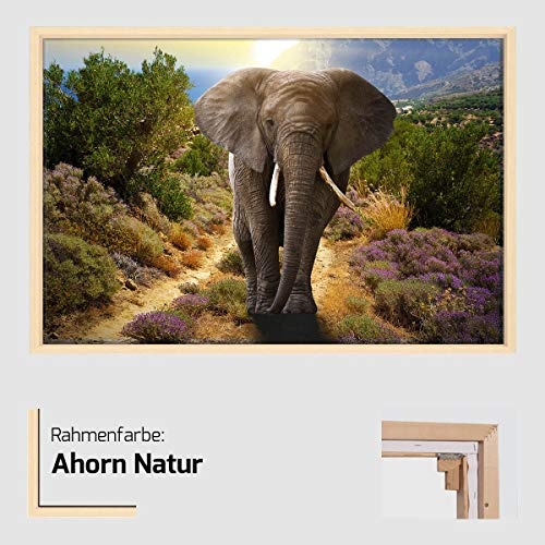 Canvas Leinwandbild Wandbild Kunstdruck, Ein Elefant in Afrika - Querformat 65x100 cm auf Keilrahmen gespannt und mit Massivholz-Schattenfugenrahmen 6 Farben-Auswahl, hier Natur klar lackiert