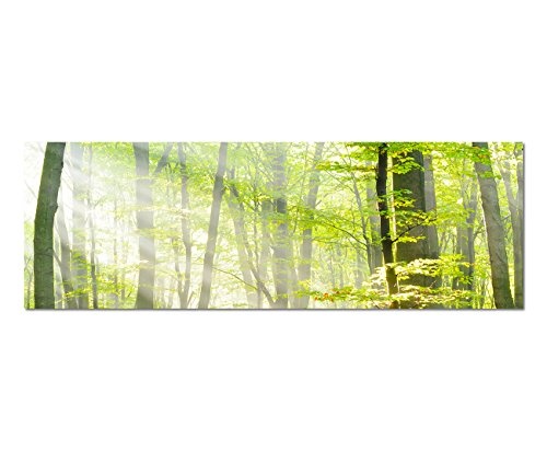 Leinwandbild als Panorama in 150x50cm Bäume Wald Sonnenstrahlen Herbst