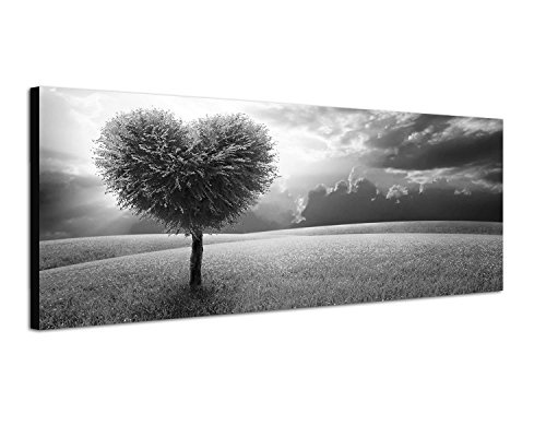Augenblicke Wandbilder Keilrahmenbild Panoramabild SCHWARZ/Weiss 150x50cm Wiese Baum Herz abstrakt Wolkenhimmel