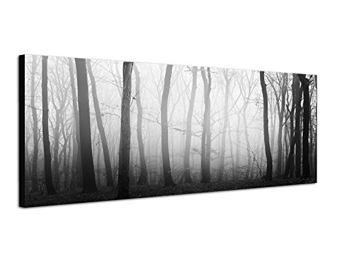 Augenblicke Wandbilder Keilrahmenbild Panoramabild SCHWARZ/Weiss 150x50cm Wald Bäume Licht mystisch