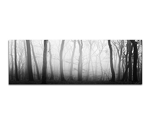 Augenblicke Wandbilder Keilrahmenbild Panoramabild SCHWARZ/Weiss 150x50cm Wald Bäume Licht mystisch