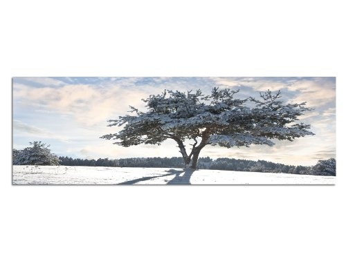 Augenblicke Wandbilder Keilrahmenbild Wandbild 150x50cm Baum Schatten Schnee Winter Wolkenschleier