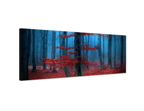 Augenblicke Wandbilder Keilrahmenbild Wandbild 150x50cm Wald Bäume Laub Herbst Nebel