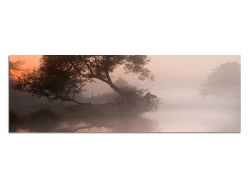 Augenblicke Wandbilder Keilrahmenbild Wandbild 150x50cm Fluss Baum Nebel Morgendämmerung