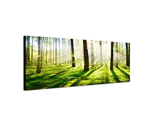 Augenblicke Wandbilder Keilrahmenbild Wandbild 150x50cm Wald Bäume Frühling Sonnenstrahlen