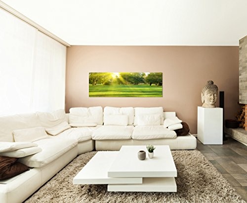 Augenblicke Wandbilder Keilrahmenbild Wandbild 150x50cm Wiese Bäume Wald Sonnenstrahlen Frühling