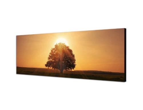Augenblicke Wandbilder Keilrahmenbild Wandbild 150x50cm Wiese Baum Dämmerung Sonnenuntergang