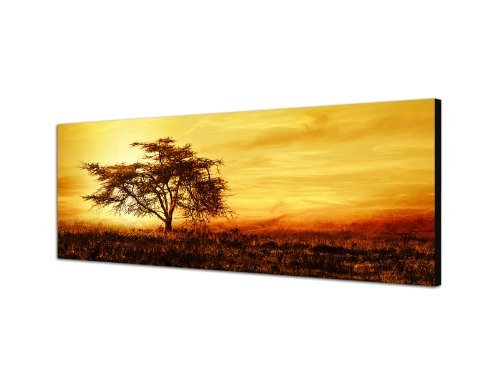 Augenblicke Wandbilder Keilrahmenbild Wandbild 150x50cm Afrika Baum Silhouette Sonnenuntergang