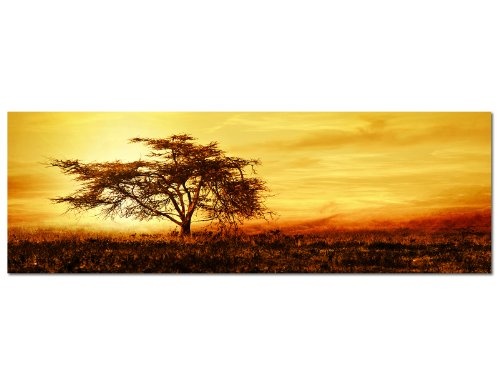 Augenblicke Wandbilder Keilrahmenbild Wandbild 150x50cm Afrika Baum Silhouette Sonnenuntergang