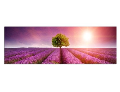 Augenblicke Wandbilder Keilrahmenbild Wandbild 150x50cm Lavendelfeld Baum Sommer Sonnenuntergang