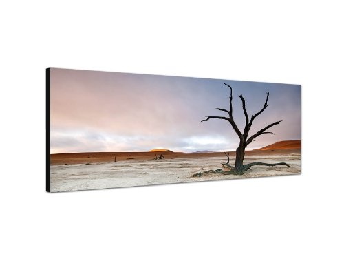 Augenblicke Wandbilder Keilrahmenbild Wandbild 150x50cm Wüstenlandschaft Baum Himmel