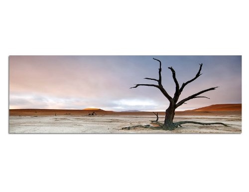 Augenblicke Wandbilder Keilrahmenbild Wandbild 150x50cm Wüstenlandschaft Baum Himmel