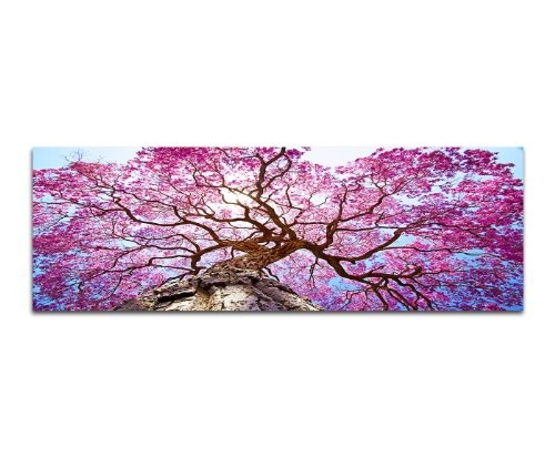 Augenblicke Wandbilder Keilrahmenbild Wandbild 150x50cm Lapacho-Baum Blüten rosa Sonnenstrahlen