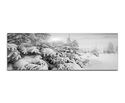 Augenblicke Wandbilder Keilrahmenbild Panoramabild SCHWARZ/Weiss 150x50cm Bäume Berge Schnee Sonnenuntergang
