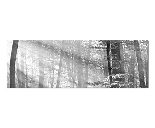 Augenblicke Wandbilder Keilrahmenbild Panoramabild SCHWARZ/Weiss 150x50cm Bäume Wald Sonnenstrahlen Herbst