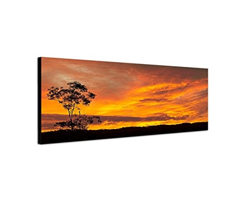 Augenblicke Wandbilder Keilrahmenbild Wandbild 150x50cm Australien Wiese Baum Sonnenuntergang