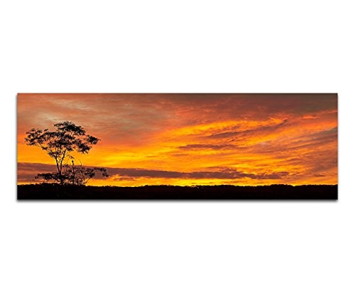 Augenblicke Wandbilder Keilrahmenbild Wandbild 150x50cm Australien Wiese Baum Sonnenuntergang