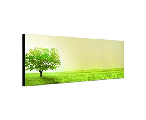 Augenblicke Wandbilder Keilrahmenbild Wandbild 150x50cm Feld Wiese Baum Sonnenlicht
