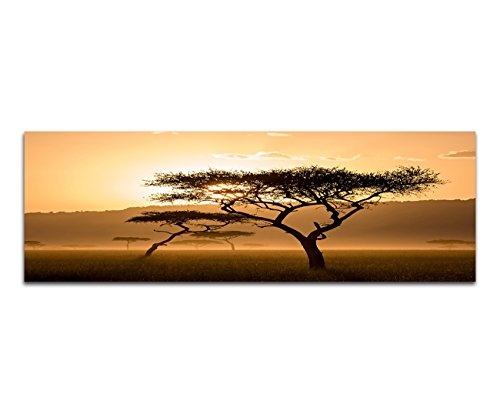 Augenblicke Wandbilder Keilrahmenbild Wandbild 150x50cm Kenia Wiese Bäume Dunst Sonnenuntergang
