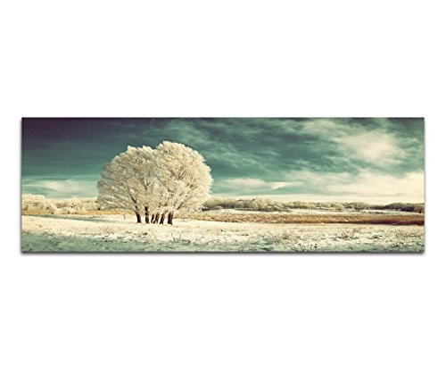 Augenblicke Wandbilder Keilrahmenbild Wandbild 150x50cm Winterlandschaft Wiese Baum Schnee Wolken
