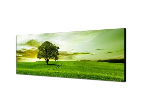 Augenblicke Wandbilder Keilrahmenbild Wandbild 150x50cm Landschaft Wiese Baum Wolkenschleier