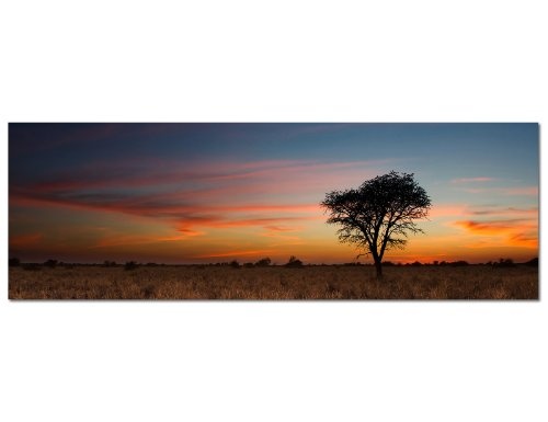 Augenblicke Wandbilder Keilrahmenbild Wandbild 150x50cm Kalahari Wüste Baum Abendrot