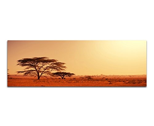 Augenblicke Wandbilder Keilrahmenbild Wandbild 150x50cm Afrika Namibia Baum Abendstimmung
