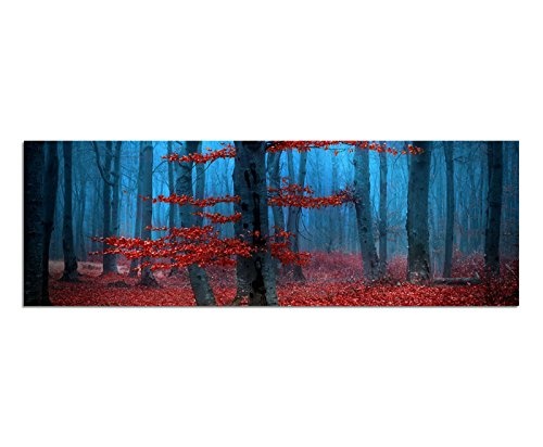 Augenblicke Wandbilder Leinwandbild als Panorama in 150x50cm Wald Bäume Laub Herbst Nebel