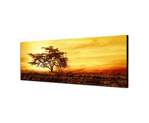 Augenblicke Wandbilder Leinwandbild als Panorama in 150x50cm Afrika Baum Silhouette Sonnenuntergang