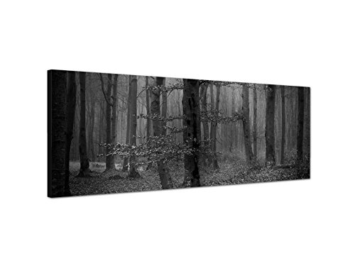Augenblicke Wandbilder Keilrahmenbild Panoramabild SCHWARZ/Weiss 150x50cm Wald Bäume Laub Herbst Nebel