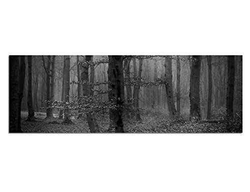 Augenblicke Wandbilder Keilrahmenbild Panoramabild SCHWARZ/Weiss 150x50cm Wald Bäume Laub Herbst Nebel