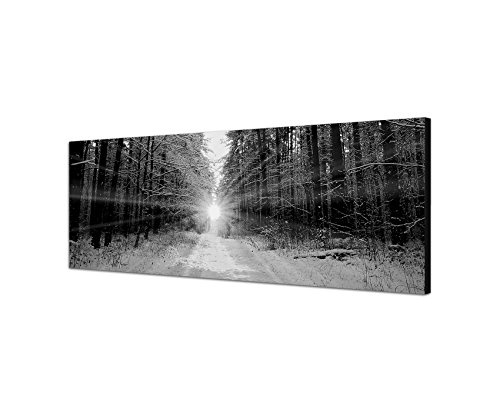 Augenblicke Wandbilder Keilrahmenbild Panoramabild SCHWARZ/Weiss 150x50cm Wald Bäume Winter Schnee Sonnenaufgang