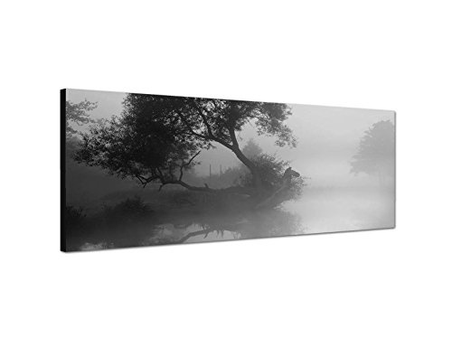 Augenblicke Wandbilder Keilrahmenbild Panoramabild SCHWARZ/Weiss 150x50cm Fluss Baum Nebel Morgendämmerung