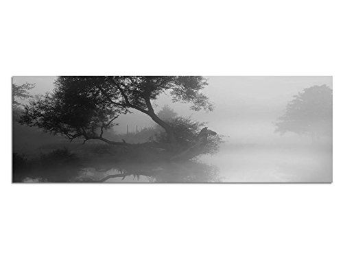 Augenblicke Wandbilder Keilrahmenbild Panoramabild SCHWARZ/Weiss 150x50cm Fluss Baum Nebel Morgendämmerung