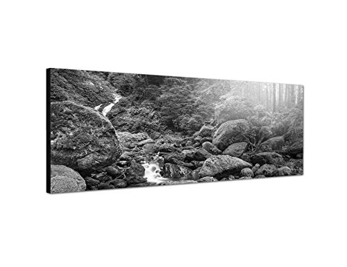 Augenblicke Wandbilder Keilrahmenbild Panoramabild SCHWARZ/Weiss 150x50cm Wald Bäume Bach Steine Sonnenstrahlen