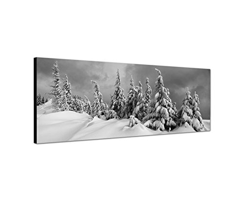 Augenblicke Wandbilder Keilrahmenbild Panoramabild SCHWARZ/Weiss 150x50cm Winterlandschaft Bäume Schnee Wolken