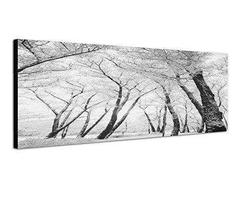 Augenblicke Wandbilder Keilrahmenbild Panoramabild SCHWARZ/Weiss 150x50cm Winterwald Bäume Schnee