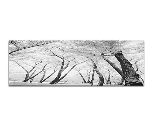 Augenblicke Wandbilder Keilrahmenbild Panoramabild SCHWARZ/Weiss 150x50cm Winterwald Bäume Schnee