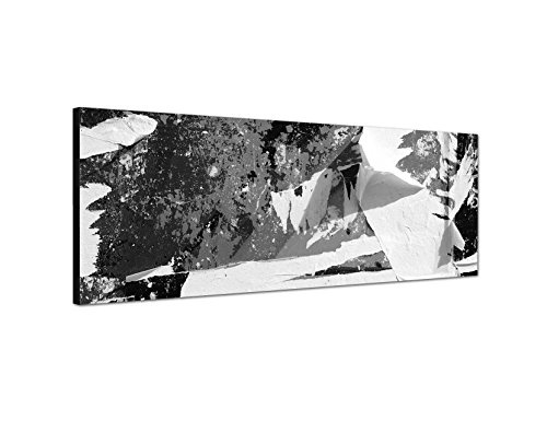 Augenblicke Wandbilder Keilrahmenbild Panoramabild SCHWARZ/Weiss 150x50cm Wald Baum Dschungel Affe