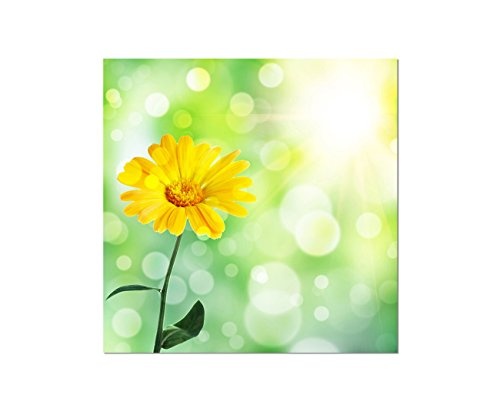 Augenblicke Wandbilder 80x80cm - Fotodruck auf Leinwand und Rahmen Blume Frühling gelb abstrakt - Leinwandbild auf Keilrahmen modern stilvoll - Bilder und Dekoration