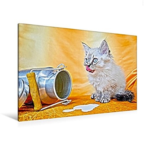 Calvendo Premium Textil-Leinwand 120 cm x 80 cm quer, CAT IN HDR | Wandbild, Bild auf Keilrahmen, Fertigbild auf echter Leinwand, Leinwanddruck: Milch Tiere Tiere